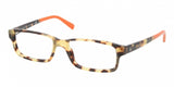 Polo 2095 Eyeglasses