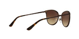934S13 - Brown - Brown Gradient