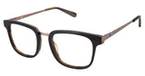 Choice Rewards Preview SPLENNOX Eyeglasses