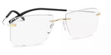 Silhouette TMA The Icon Gold Edition 5539 Eyeglasses
