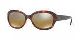 Ray Ban 4282CH Sunglasses