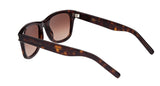 004 - Havana/Havana - Brown