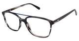 Choice Rewards Preview SPPIERVIEW Eyeglasses