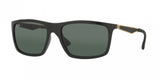 Ray Ban 4228 Sunglasses