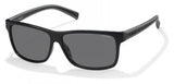 Polaroid Core Pld2027 Sunglasses