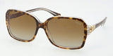 Coach 8009 Sunglasses