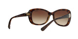 W65613 - Havana - Brown Gradient