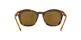 527673 - Havana - Brown