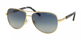 Michael Kors Sabina Iii 5014 Sunglasses