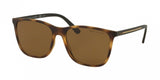 Polo 4143 Sunglasses