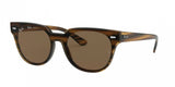 Ray Ban Blaze Meteor 4368NF Sunglasses