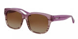 Coach L074 Sienna 8086 Sunglasses