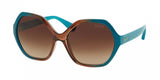 Coach 8065 Sunglasses