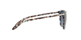 169280 - Blue Tortoise - Blue Solid