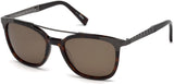 Ermenegildo Zegna 0073 Sunglasses