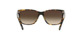 905/13 - Brown - Brown Gradient