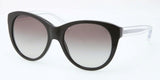 Coach 8064 Sunglasses