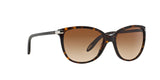 510/13 - Havana - Brown Gradient