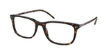 Polo 2224 Eyeglasses