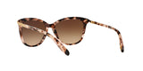 146313 - Havana - Dark Brown Gradient