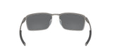 410610 - Grey - Prizm Black Polarized