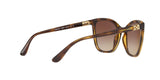 W65613 - Havana - Brown Gradient