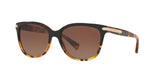 5438T5 - Havana - Brown Gradient Polar