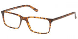 Exces SF2 Eyeglasses