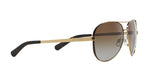 1014T5 - Brown - Brown Gradient Polarized