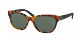 Polo 4093 Sunglasses