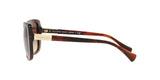 162513 - Brown - Smoke Gradient