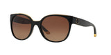 1312T5 - Black - Brown Gradient Polarized