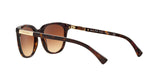 137813 - Havana - Brown Gradient