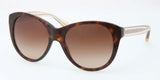 Coach 8064 Sunglasses