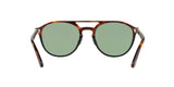 905552 - Tortoise Brown Black - Green