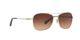 932213 - Light Gold - Brown Gradient