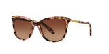 1463T5 - Havana - Brown Gradient Polarized