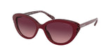 Coach L1133 8288 Sunglasses