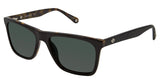 Sperry SPWICKFORD Sunglasses