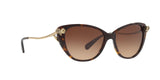 548574 - Dark Tortoise - Brown Gradient