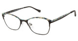 Alexander 3D90 Eyeglasses