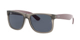 Ray Ban Justin 4165 Sunglasses