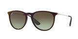 Ray Ban Erika 4171 Sunglasses