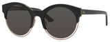 Dior Diorsideral1 Sunglasses