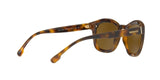 527673 - Havana - Brown