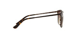 934S13 - Brown - Brown Gradient