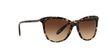 146213 - Brown - Dark Brown Gradient