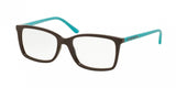 Michael Kors Grayton 8013 Eyeglasses