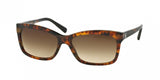 Ralph Lauren 8093 Sunglasses