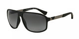 Emporio Armani 4029 Sunglasses
